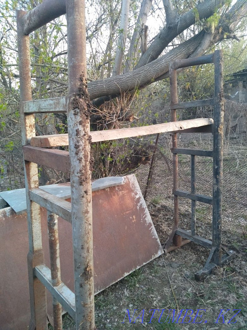 The woods. The woods. The woods Almaty - photo 1