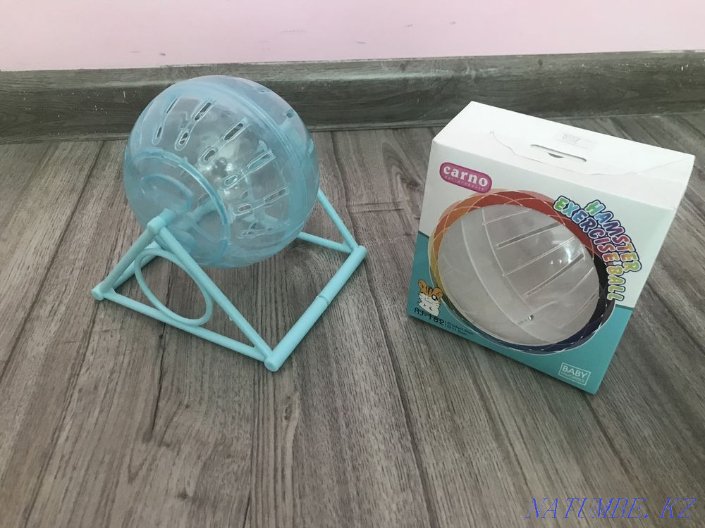 Hamster wheels Astana - photo 1