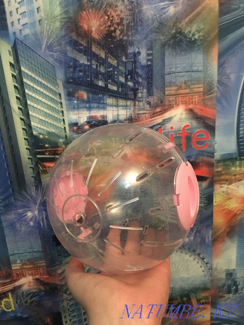 Шар для грызунов Риддер - изображение 1