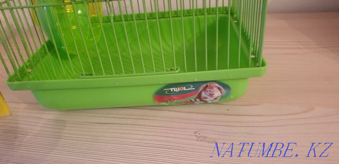 Cage for a hamster Astana - photo 2