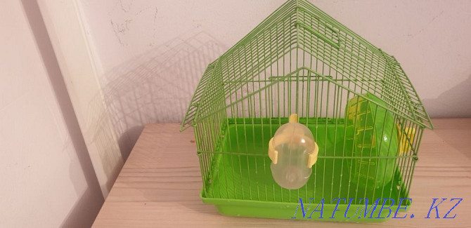Cage for a hamster Astana - photo 1