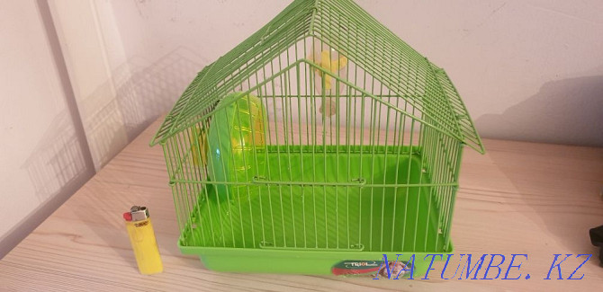Cage for a hamster Astana - photo 3