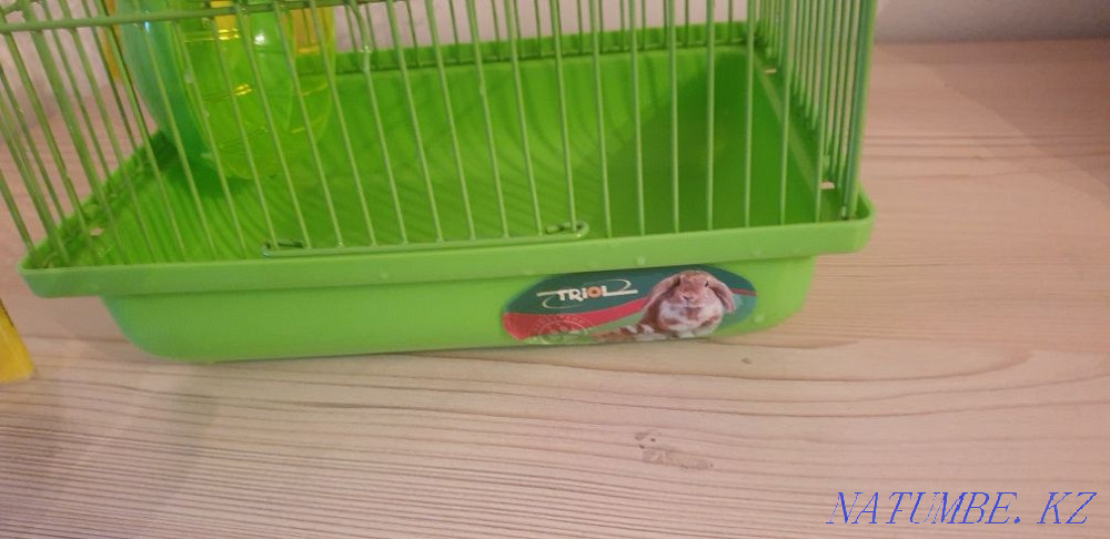 Cage for a hamster Astana - photo 2