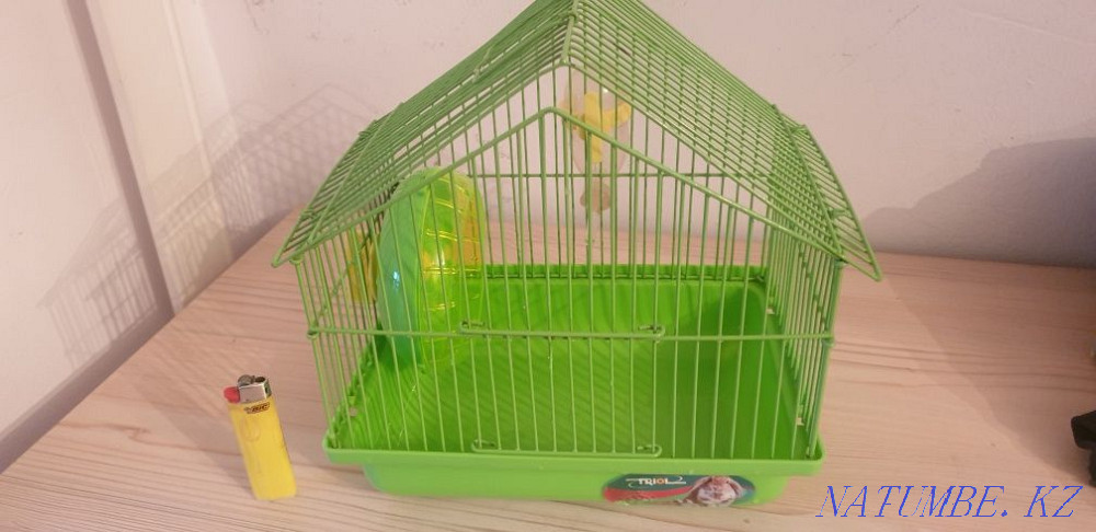 Cage for a hamster Astana - photo 3