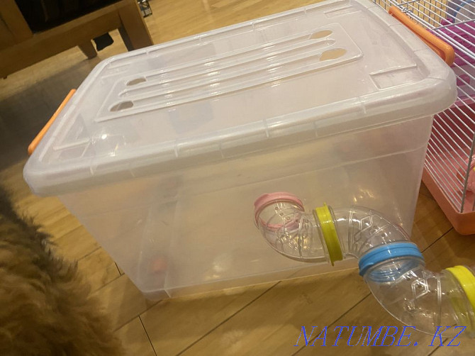cage for a hamster Almaty - photo 3