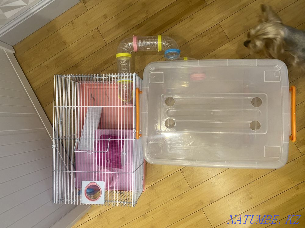 cage for a hamster Almaty - photo 2