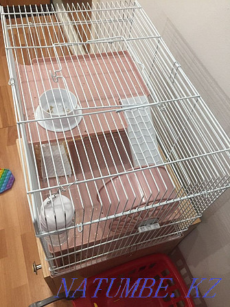 Hamster cage for sale Astana - photo 1