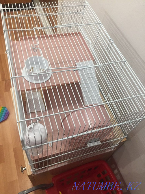 Hamster cage for sale Astana - photo 1