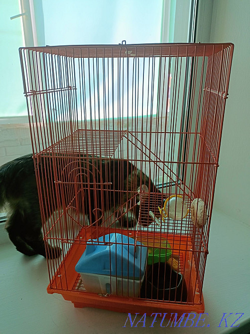 Продам клетку для хомяка Костанай - изображение 1