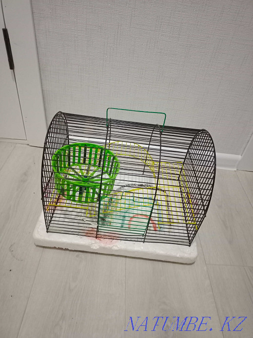 I will sell a cage for a hamster, a parrot and other rodents address 6 microdistrict Oral - photo 2