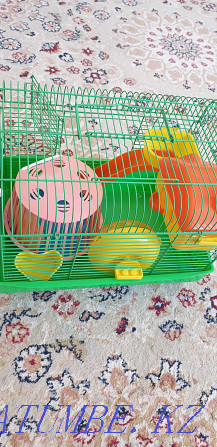 hamster rodent cage for sale Astana - photo 1