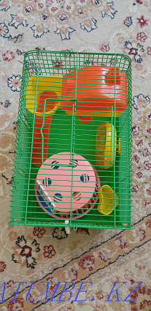 hamster rodent cage for sale Astana - photo 3