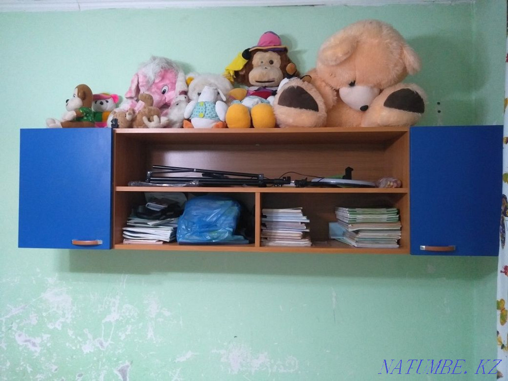 Cupboard. Wall. Ex Almaty - photo 1