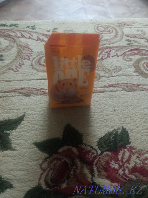 хомяк үшін бәрін сатамын  Өскемен - изображение 2