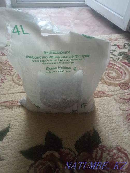 хомяк үшін бәрін сатамын  Өскемен - изображение 1