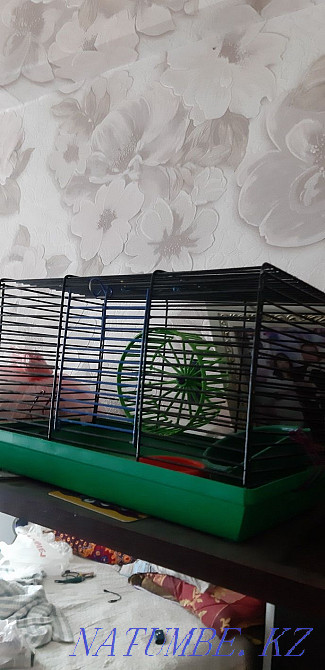 Cage for a hamster Kyzylorda - photo 1