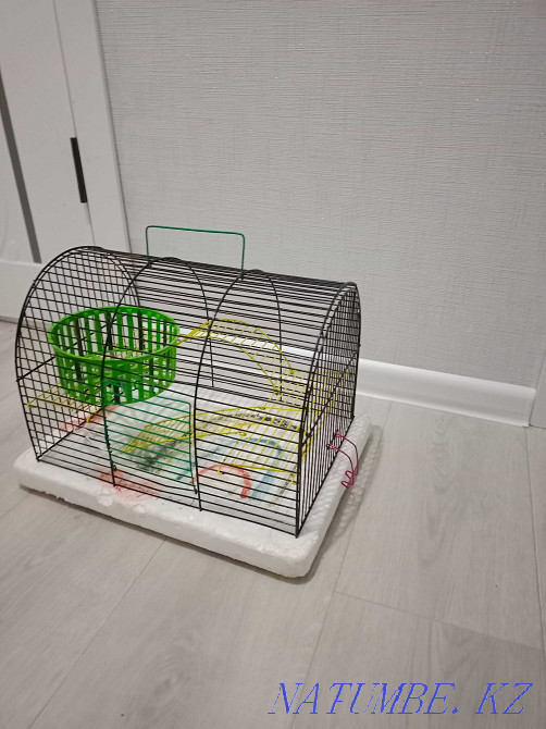 Продам клетку для хомяка, попугая и других грызунов Уральск - изображение 1