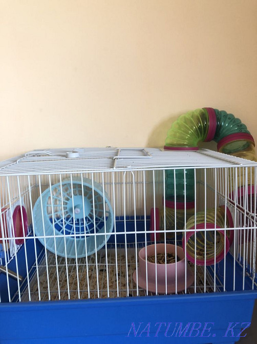 Hamsters with net Kokshetau - photo 1