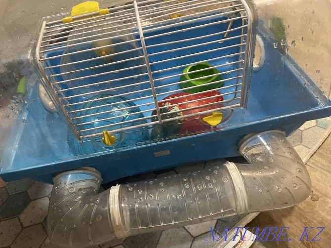 Cage for a hamster Almaty - photo 4