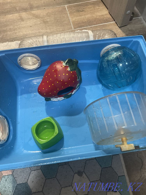 Клетка для хомяка Алматы - изображение 1