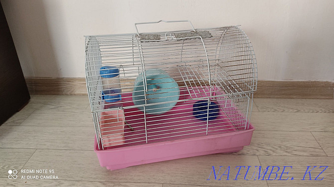 Hamster cage for sale Kokshetau - photo 1