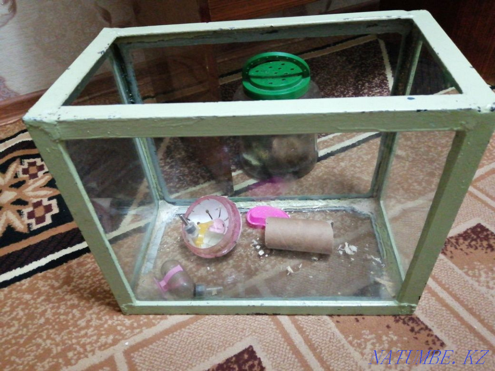 Продам аквариум террариум.для грызунов Усть-Каменогорск - изображение 1