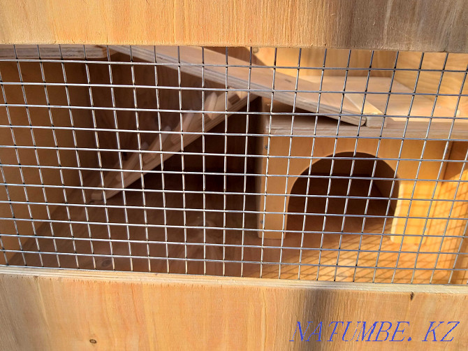 Cage for rat, hamster, hedgehog Almaty - photo 6