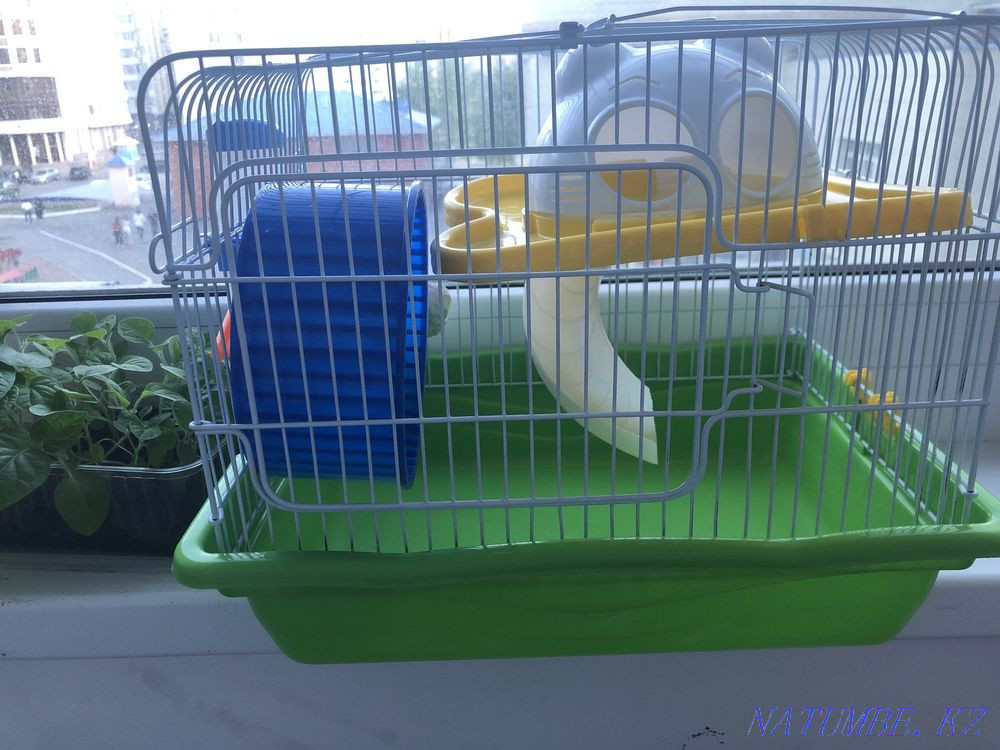 Hamster house. Astana - photo 2