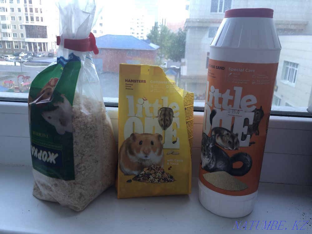 Hamster house. Astana - photo 3