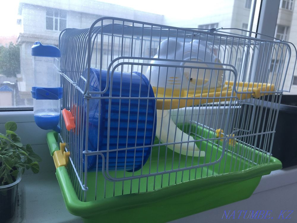 Hamster house. Astana - photo 1