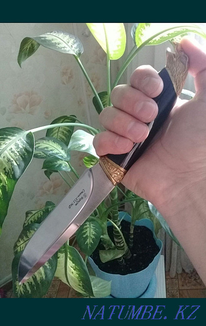 Хомяк. Есть разные варианты.  - изображение 7