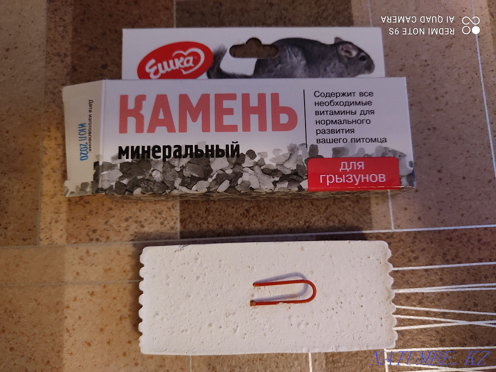 Камень для хомяков Кокшетау - изображение 4