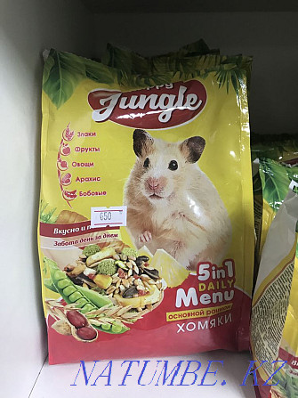 Food for Syrian Hamsters Astana - photo 1