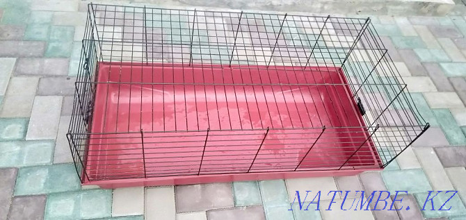 large rodent cage for sale Almaty - photo 3