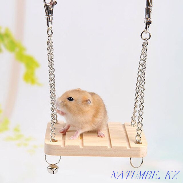 хомяктар мен егеуқұйрықтарға арналған әткеншек  Астана - изображение 2