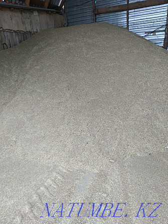 Grain waste wholesale and retail, can be in bulk Kostanay - photo 2