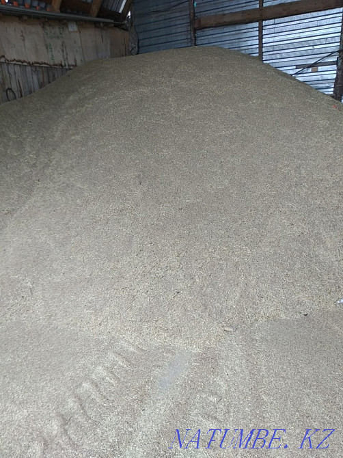 Grain waste wholesale and retail, can be in bulk Kostanay - photo 2