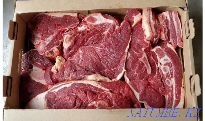 Young horse meat from a farm Astana - photo 1