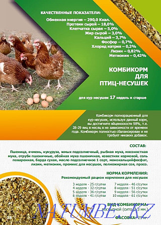 Compound feed for birds and animals Kostanay - photo 5