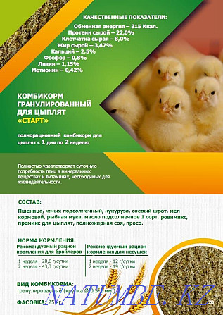 Compound feed for birds and animals Kostanay - photo 6