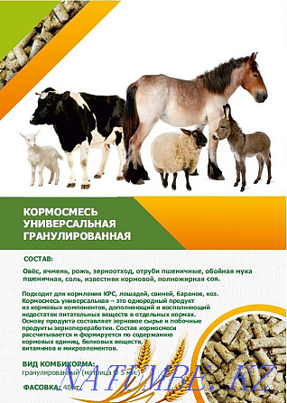 Compound feed for birds and animals Kostanay - photo 2