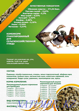 Compound feed for birds and animals Kostanay - photo 1