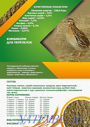 Compound feed for birds and animals Kostanay - photo 8