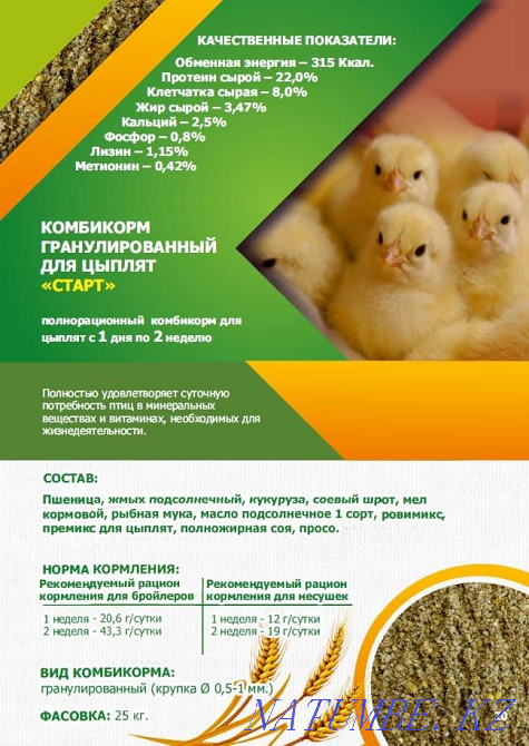 Compound feed for birds and animals Kostanay - photo 6