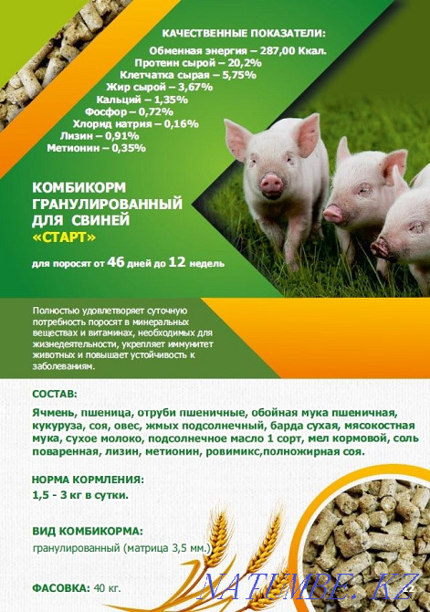 Compound feed for birds and animals Kostanay - photo 7