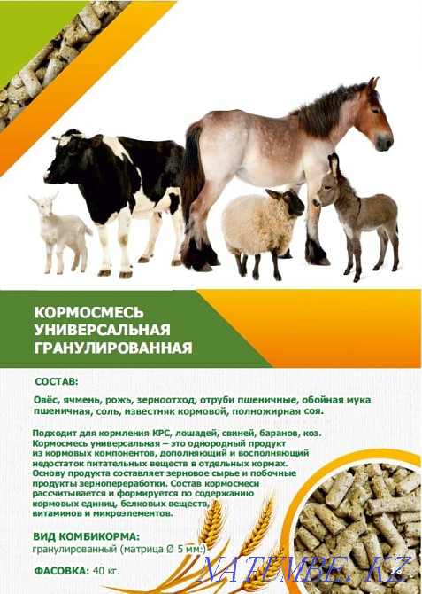 Compound feed for birds and animals Kostanay - photo 2