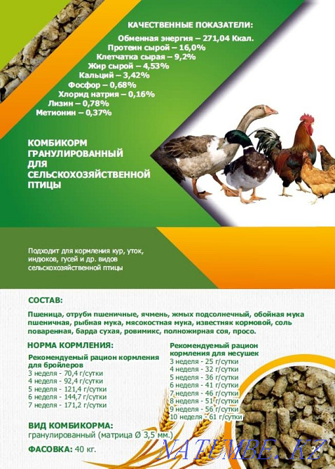 Compound feed for birds and animals Kostanay - photo 1