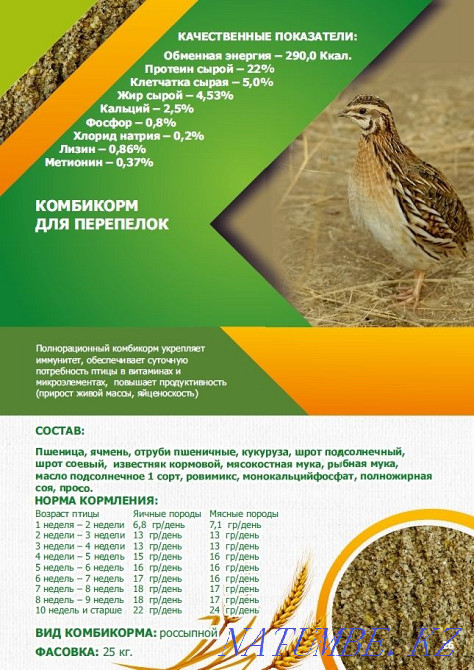Compound feed for birds and animals Kostanay - photo 8