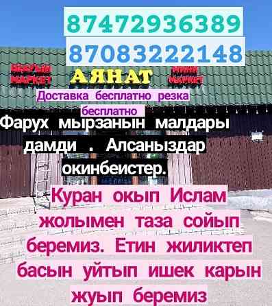 Кой Бараны токтушки продаётся 35000тысч г Алматы Доставка бесплатно ре Almaty