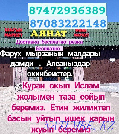 Кой Бараны токтушки продаётся 35000тысч г Алматы Доставка бесплатно ре Алматы - изображение 1